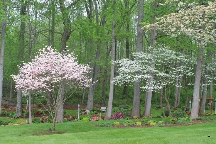 Trusted landscape installation experts serving Pegram, TN - Southwest Lawns