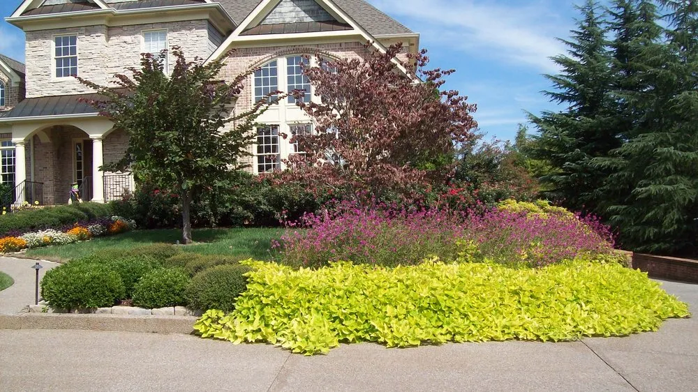 Affordable landscape design near you across Pegram, TN - Southwest Lawns
