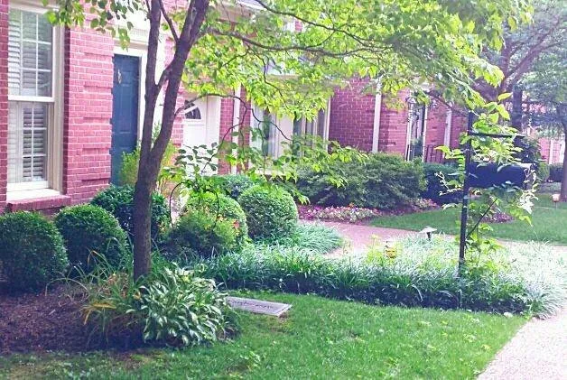 Top-rated yard cleanup service in Pegram, TN by Southwest Lawns