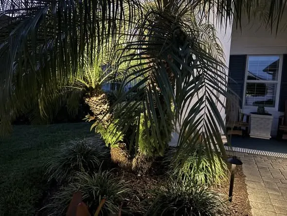 Expert lawn mowing service in Cape Coral, FL by Southwest Lighting and Lawns