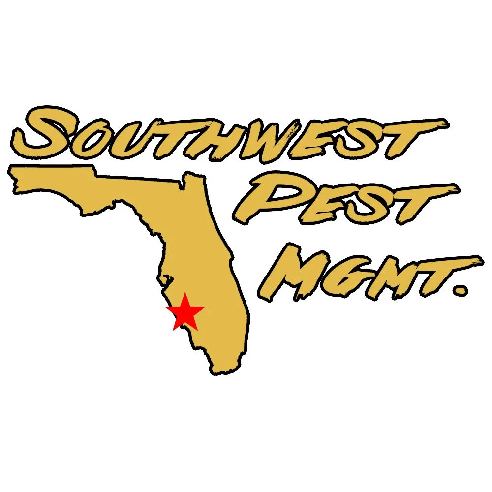 Custom lawn mowing service for outdoor upgrades across Cape Coral, FL - Southwest Pest Mgmt