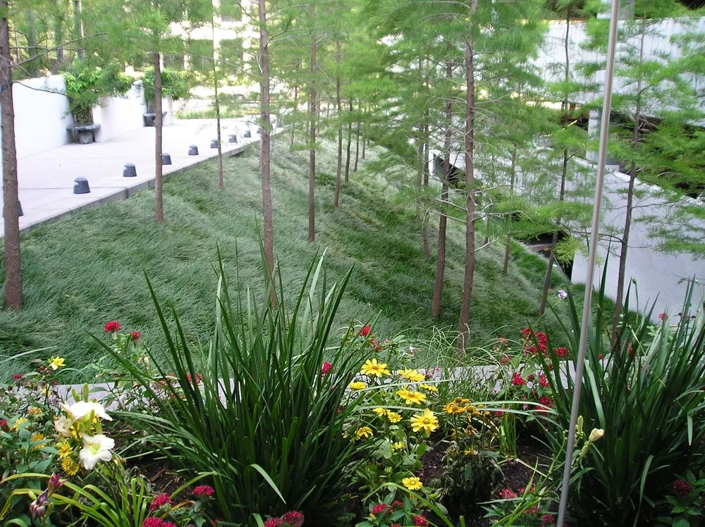 Trusted lawn care service in Houston, TX - Southwest Property Landscaping