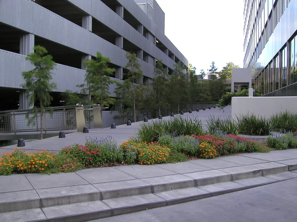 Custom landscaping services experts serving Houston, TX - Southwest Property Landscaping