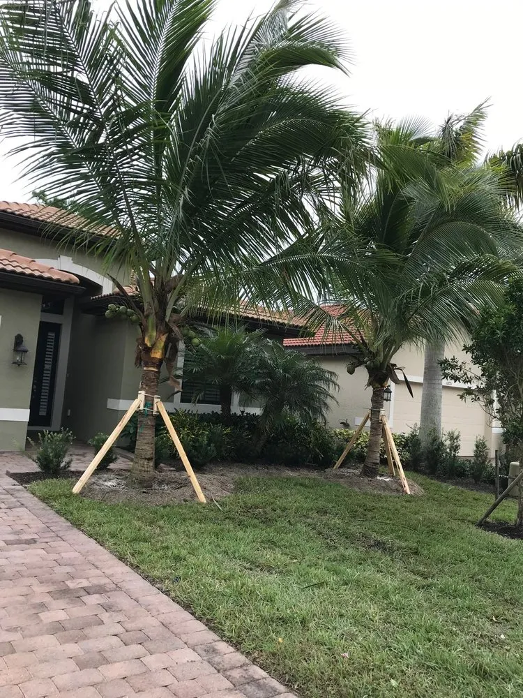 Trusted yard maintenance with custom design in Bonita Springs, FL by Southwest Quality Lawn - Lawn Care & Landscaping Service