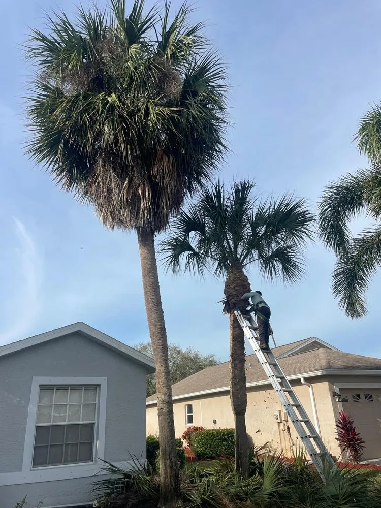 Local landscape installation in Bonita Springs, FL - Southwest Quality Lawn - Lawn Care & Landscaping Service