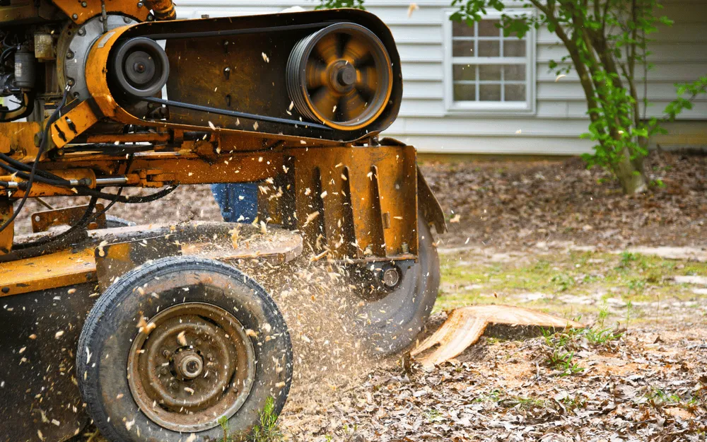 Top-rated residential landscaping in Bonita Springs, FL by Southwest Quality Lawn - Lawn Care & Landscaping Service