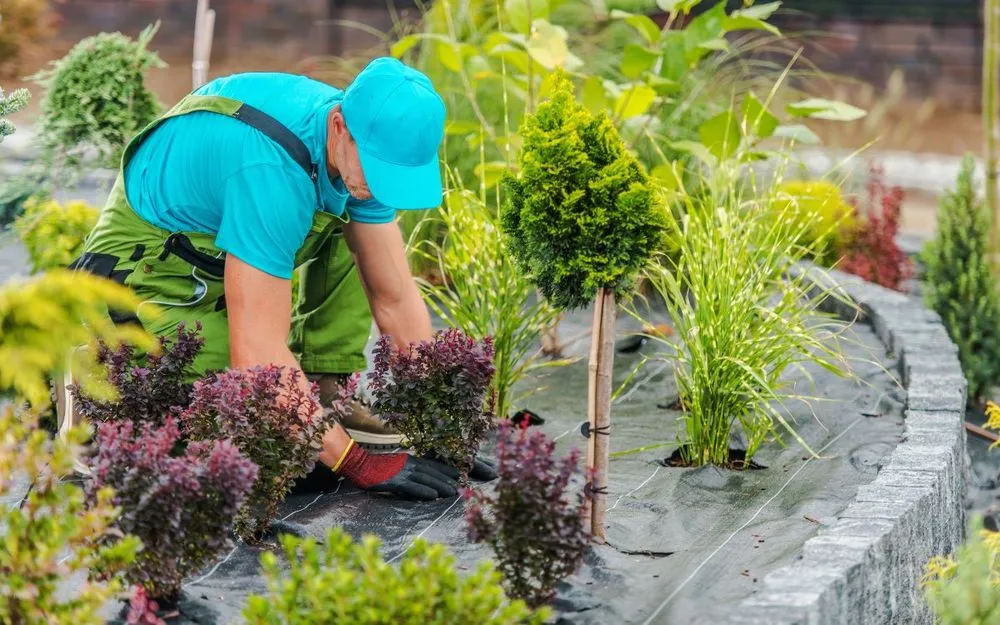 Expert yard maintenance in Bonita Springs, FL by Southwest Quality Lawn - Lawn Care & Landscaping Service