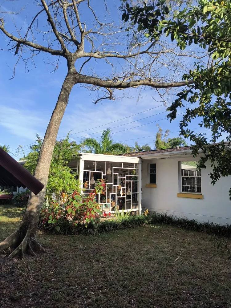 Top-rated landscape installation for year-round maintenance across Bonita Springs, FL - Southwest Quality Lawn - Lawn Care & Landscaping Service