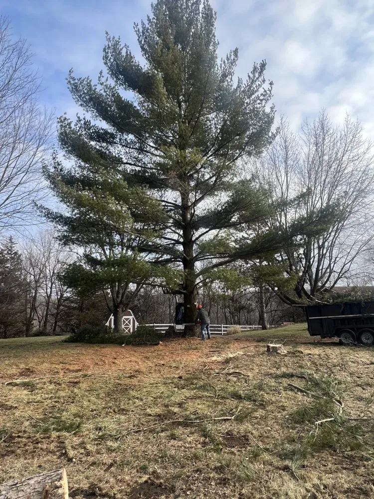 Reliable landscape installation in Belle Plaine, MN - SouthWest Services