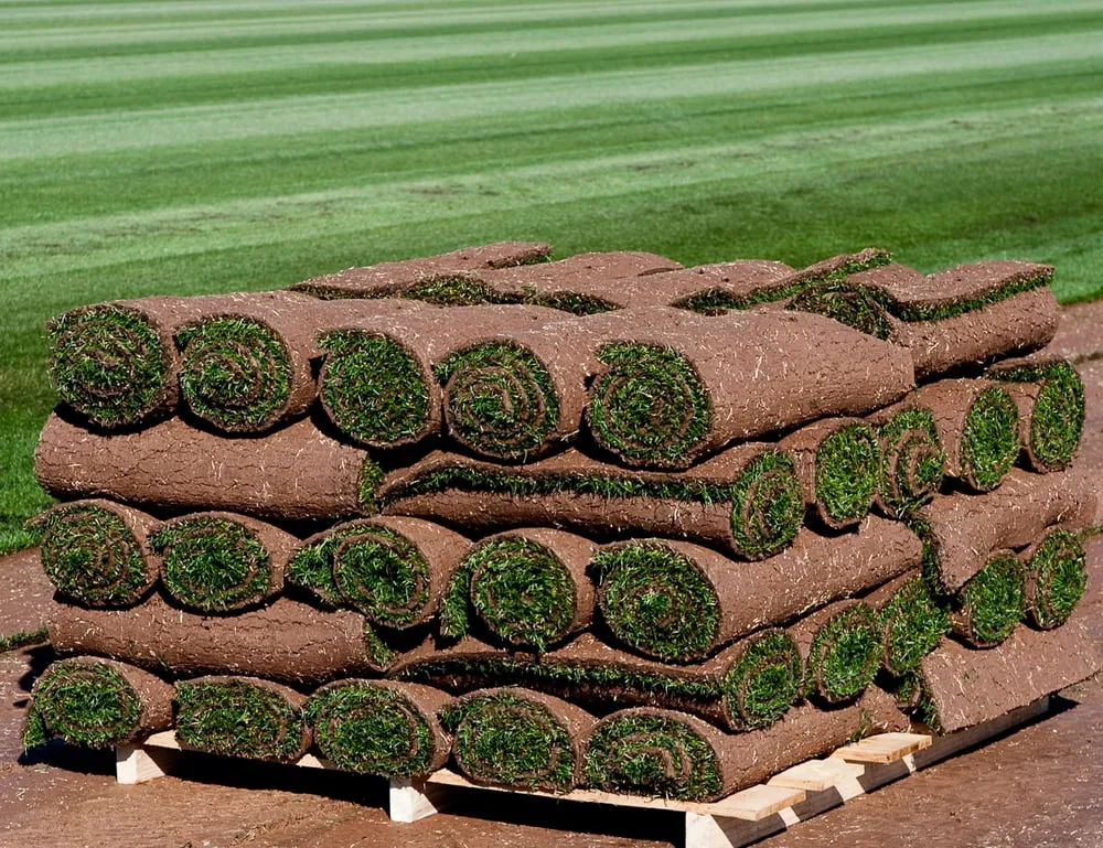 Expert residential landscaping for outdoor upgrades in Maricopa, AZ by Southwest Sod