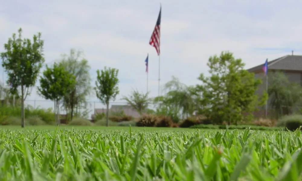Local landscaping services with custom design across Maricopa, AZ - Southwest Sod