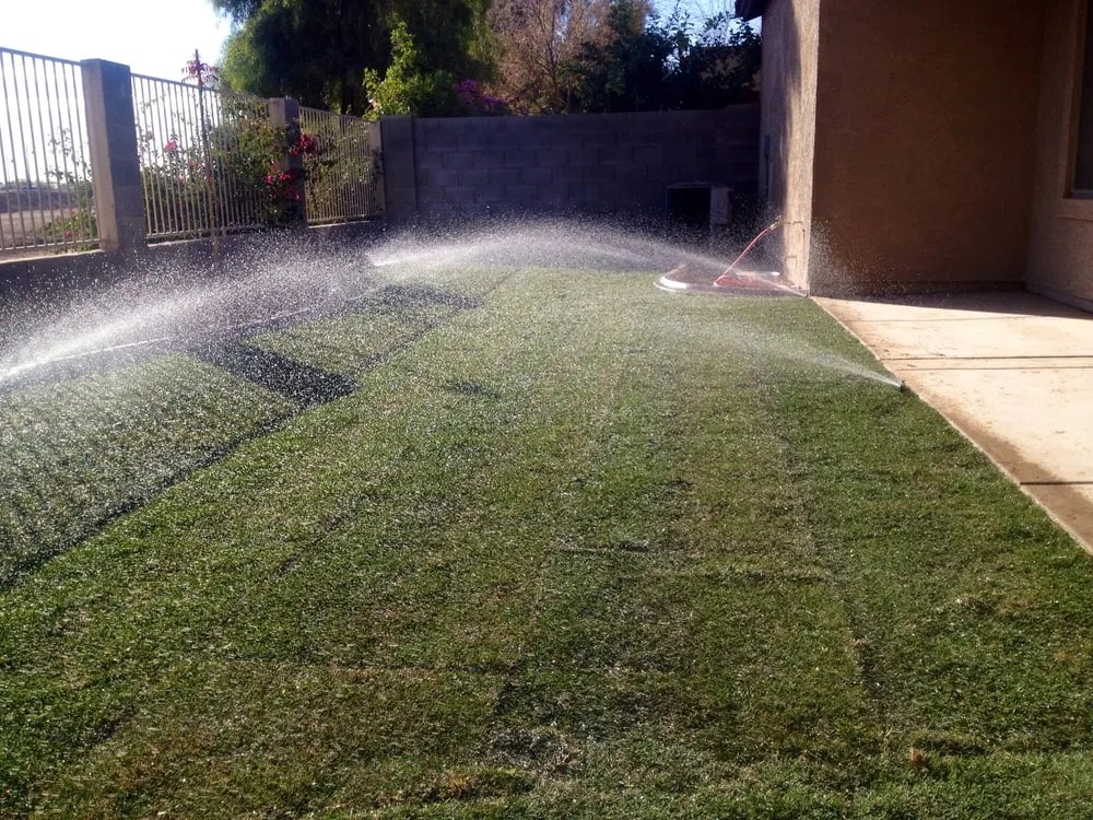 Professional lawn mowing service experts serving Maricopa, AZ - Southwest Sod