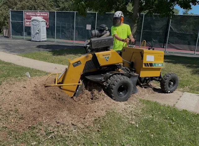 Reliable landscaping services for outdoor upgrades across San Antonio, TX - Southwest Texas Landscaping
