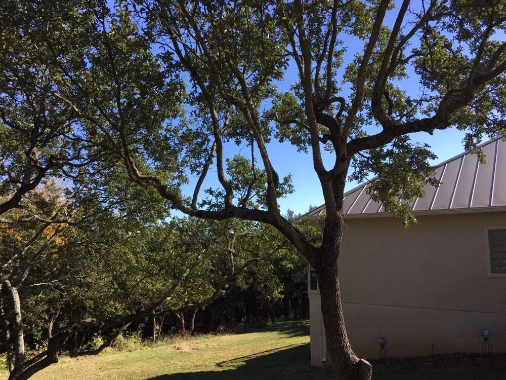 Trusted residential landscaping in Universal City, TX by Southwest Tree Care