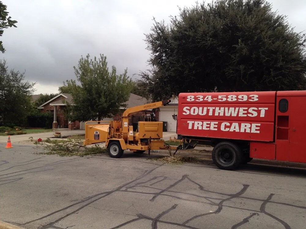Top-rated yard maintenance in Universal City, TX - Southwest Tree Care