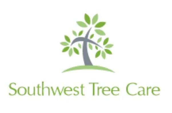 Affordable yard maintenance in Universal City, TX - Southwest Tree Care