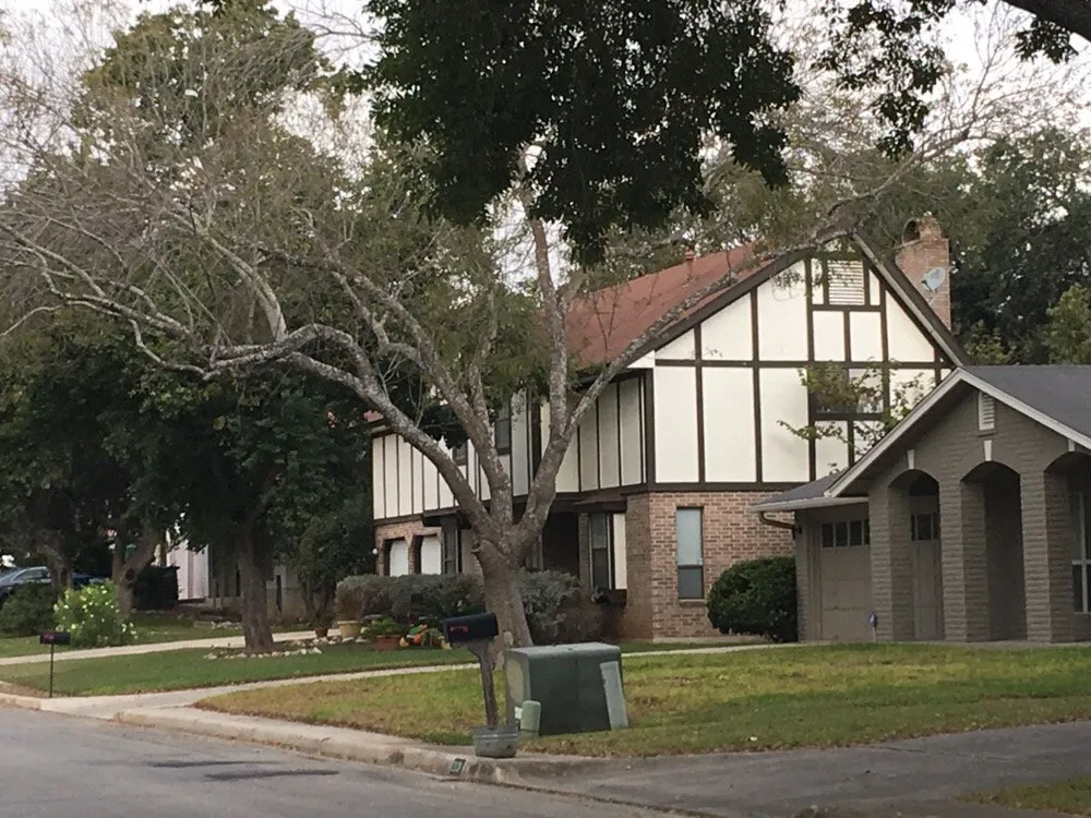 Custom yard cleanup service for beautiful yards across Universal City, TX - Southwest Tree Care