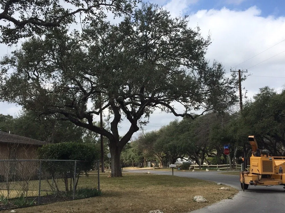 Reliable landscape design near you across Universal City, TX - Southwest Tree Care