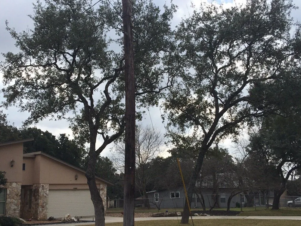 Affordable landscape installation in Universal City, TX by Southwest Tree Care