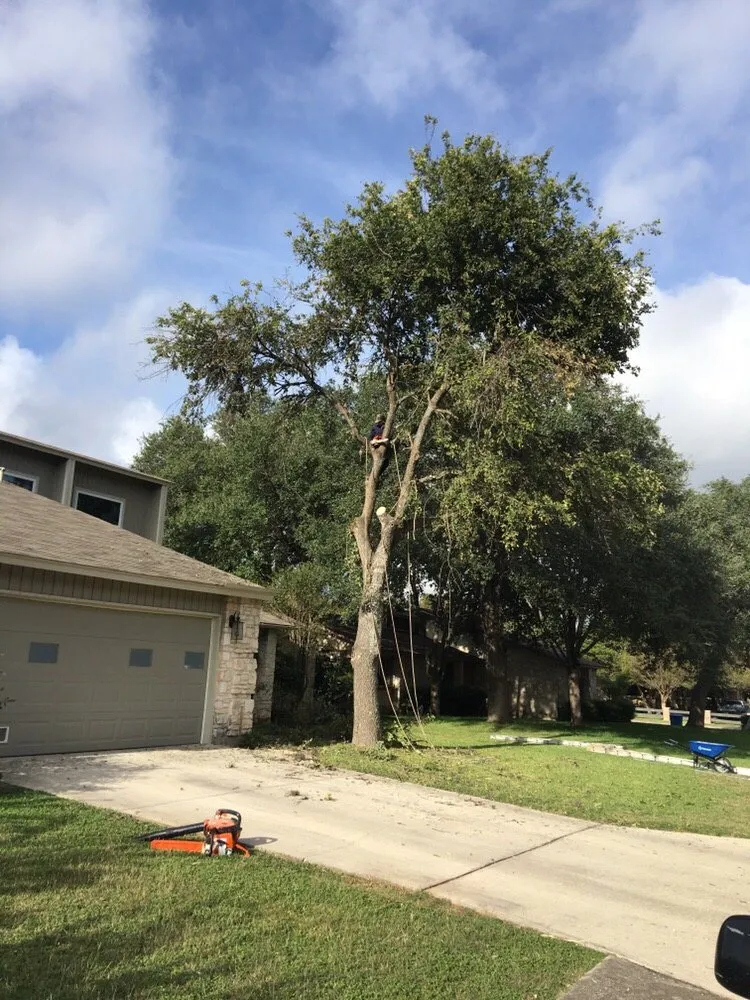 Custom yard cleanup service in Universal City, TX - Southwest Tree Care