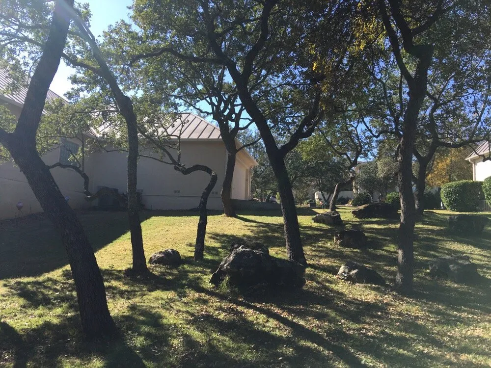 Reliable landscaping services in Universal City, TX by Southwest Tree Care