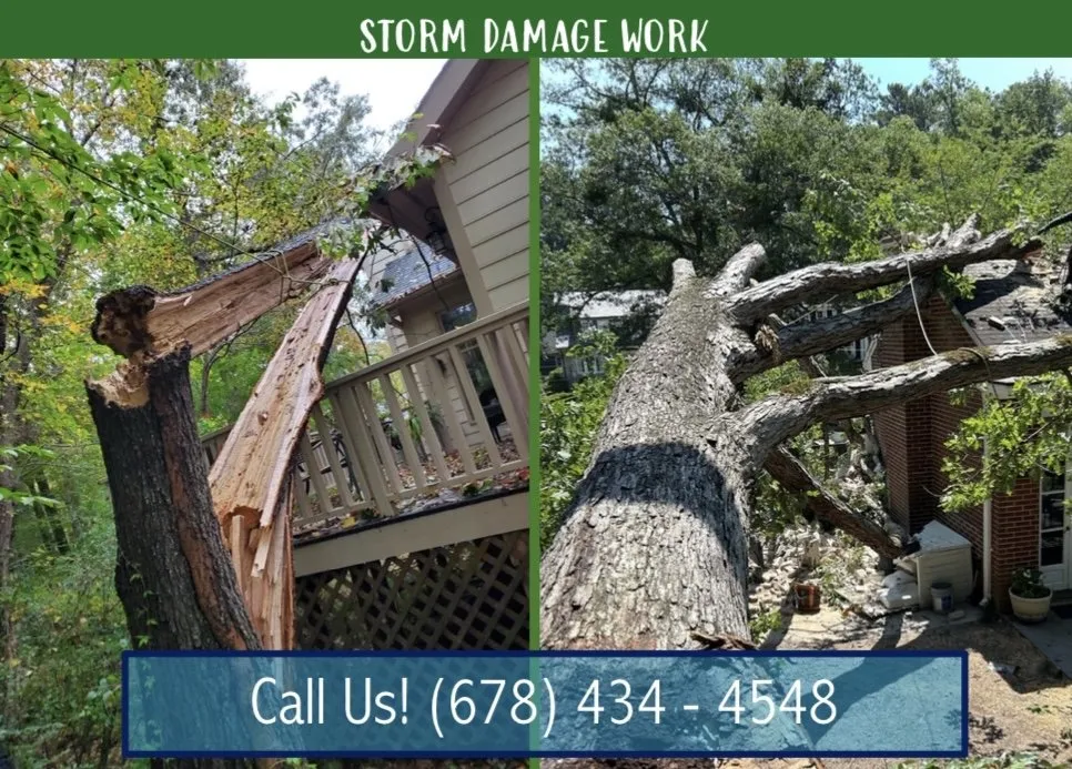 Expert landscaping services experts serving Marietta, GA - Southwest Tree Professionals