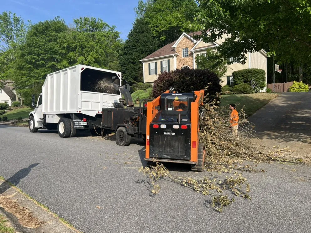 Professional yard cleanup service in Marietta, GA by Southwest Tree Professionals