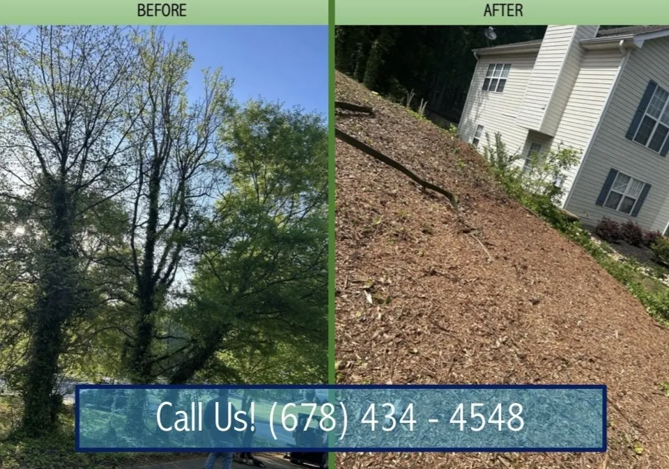 Reliable landscaping services for residential properties in Marietta, GA by Southwest Tree Professionals