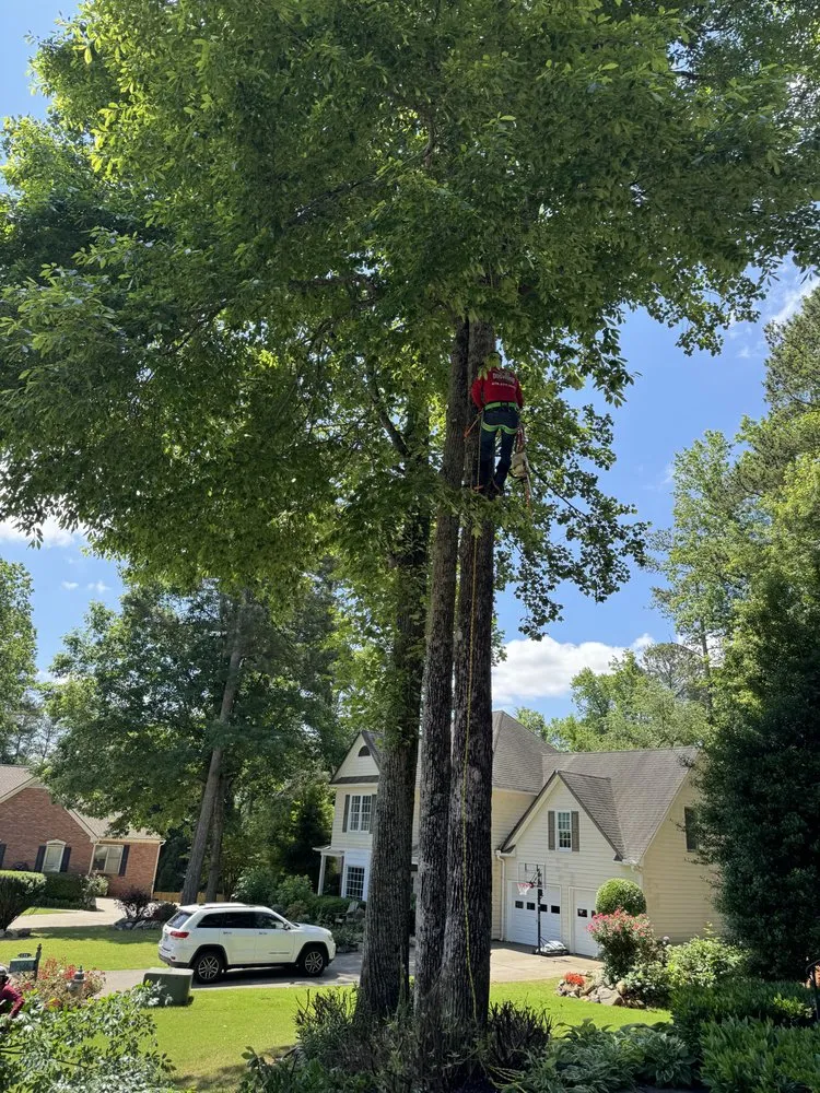 Local garden landscaping in Marietta, GA - Southwest Tree Professionals