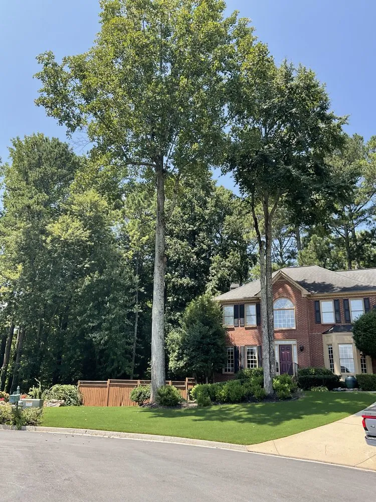 Reliable yard maintenance in Marietta, GA - Southwest Tree Professionals