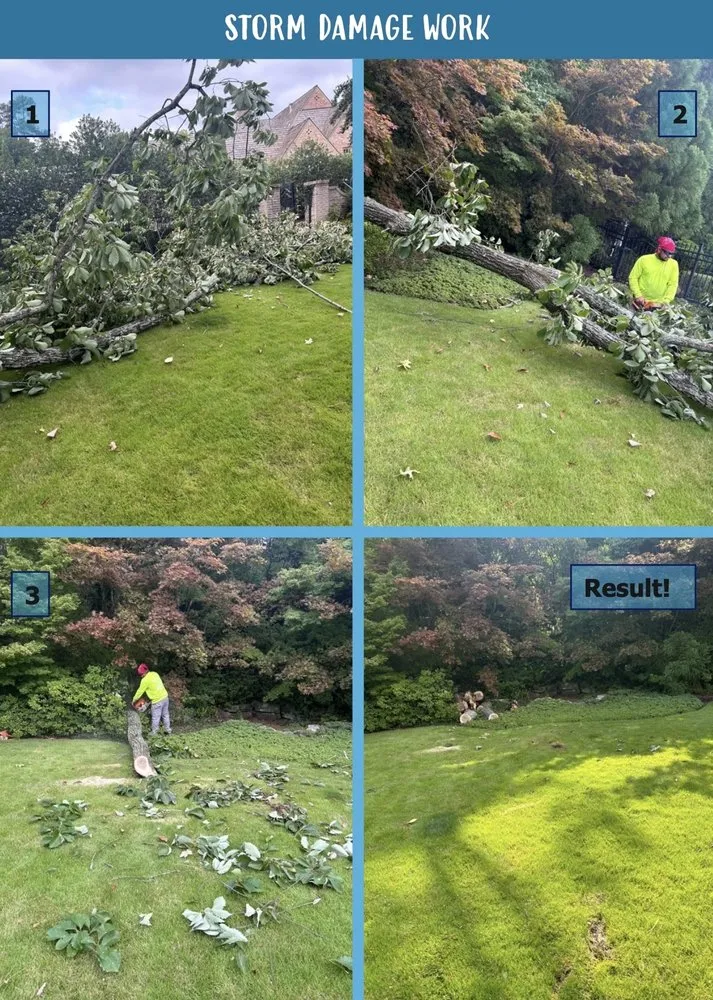 Professional landscaping services in Marietta, GA - Southwest Tree Professionals