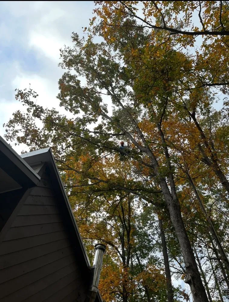 Local lawn care service with custom design across Marietta, GA - Southwest Tree Professionals