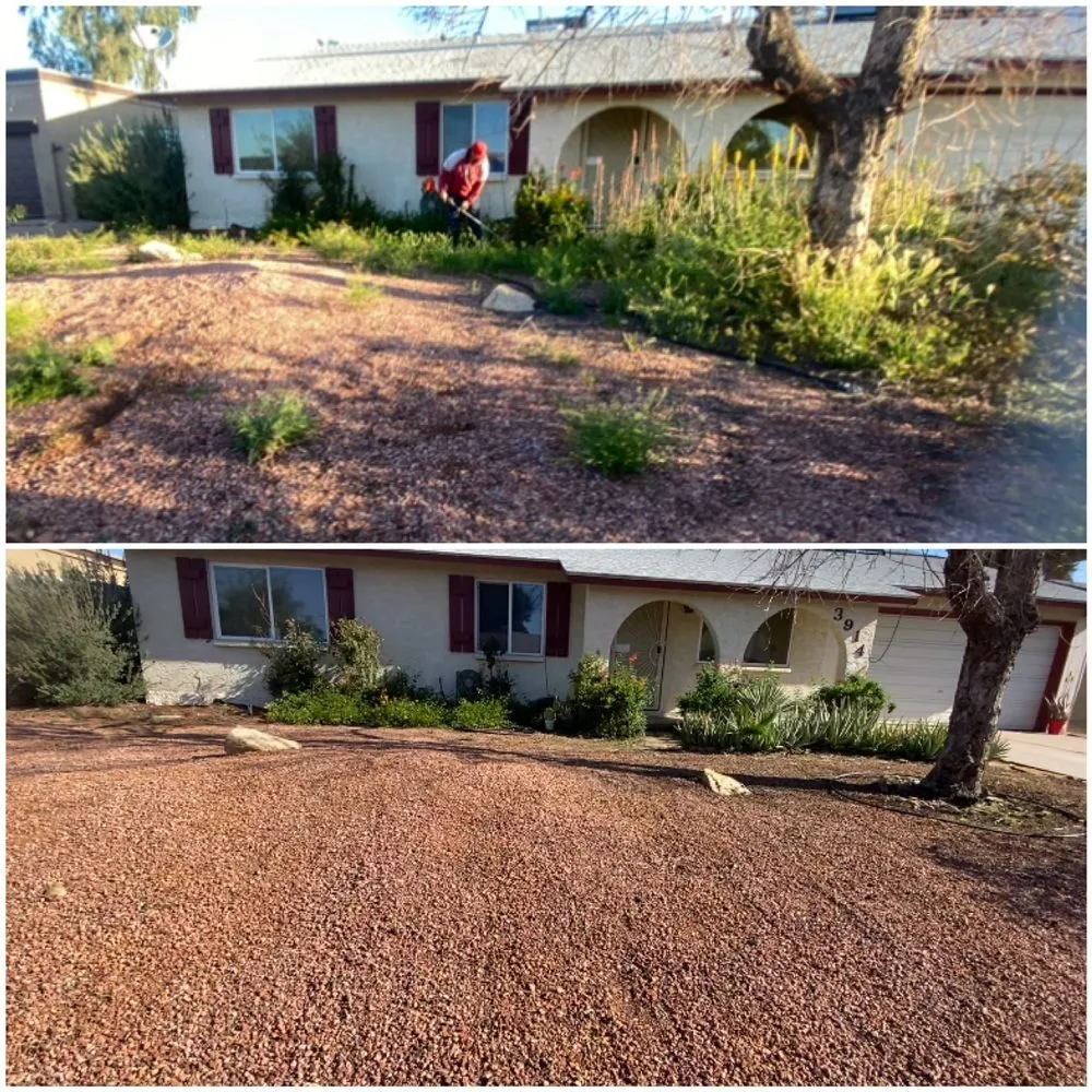 Affordable landscaping services in Mesa, AZ - Southwestern Landscaping