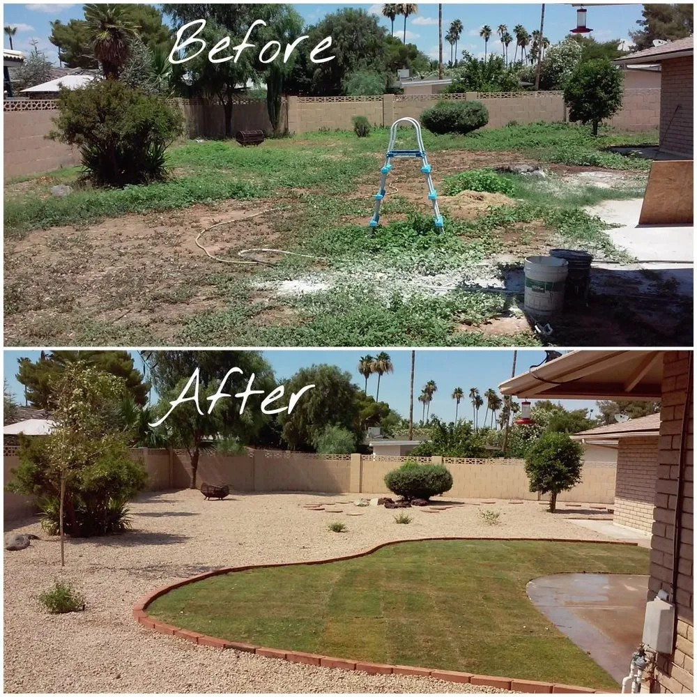 Local yard cleanup service for homes across Mesa, AZ - Southwestern Landscaping