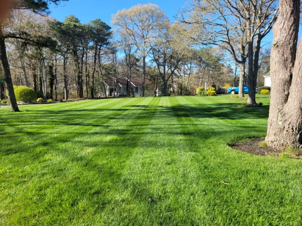 Expert yard cleanup service in North Chatham, MA - Southwick Landscaping