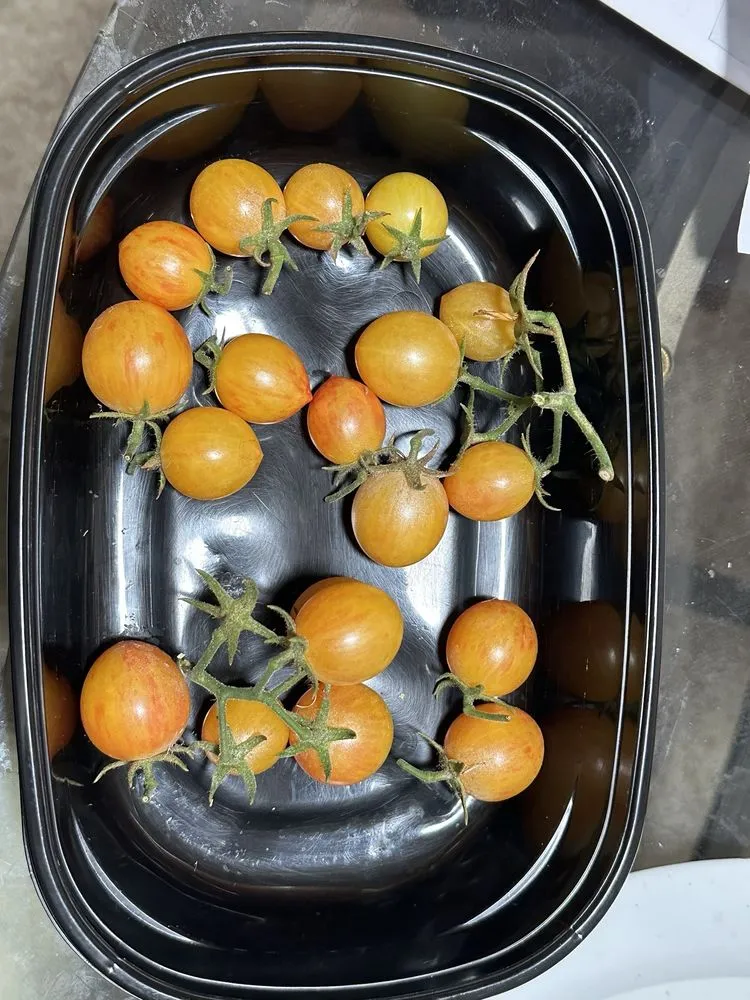 Trusted yard cleanup service near you in Tulsa, OK by Southwood Landscape And Garden Center