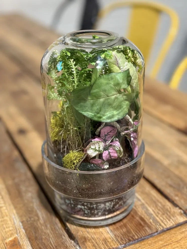 Custom yard maintenance in Tulsa, OK by Southwood Landscape And Garden Center