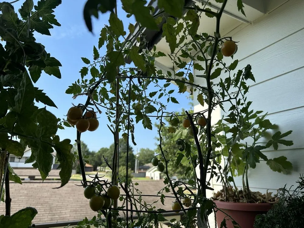 Reliable landscape installation in Tulsa, OK by Southwood Landscape And Garden Center