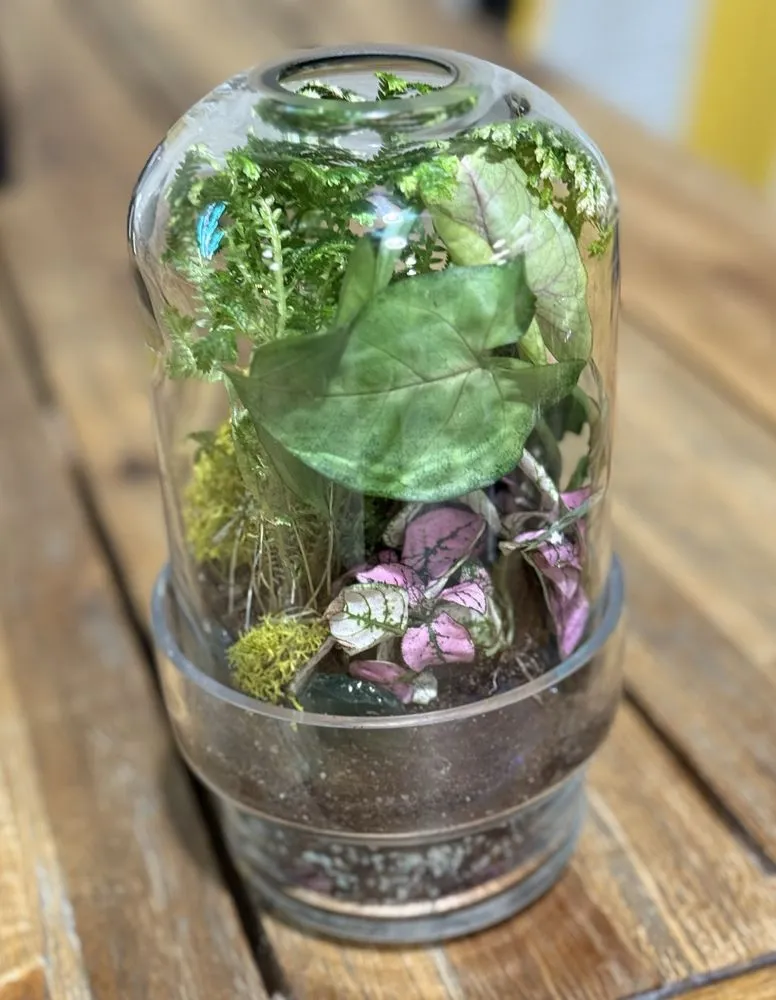 Custom lawn care service for residential properties in Tulsa, OK by Southwood Landscape And Garden Center