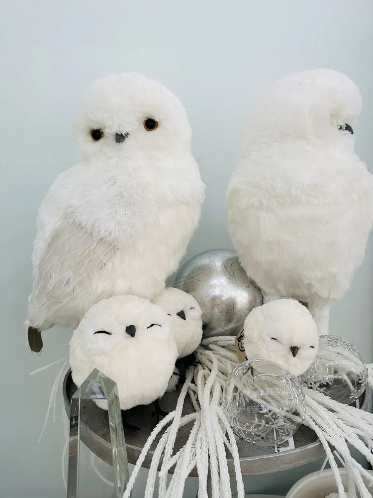 Affordable landscape installation experts serving Tulsa, OK - Southwood Landscape And Garden Center