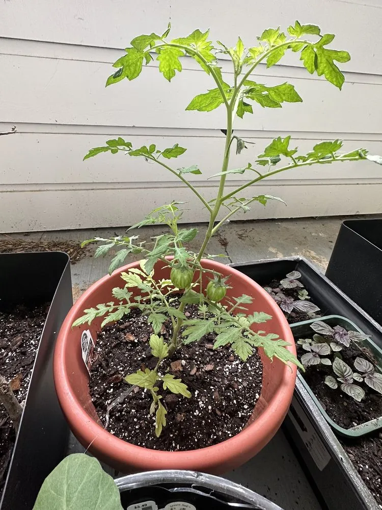 Affordable yard maintenance in Tulsa, OK - Southwood Landscape And Garden Center