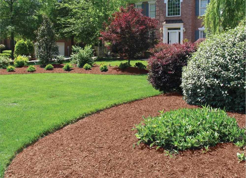 Affordable lawn care service for year-round maintenance in Orangeburg, SC by Southwood Services