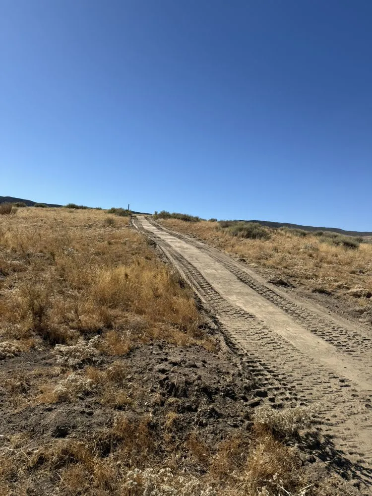 Expert yard maintenance in Lancaster, CA by Souza & Son Earthworks