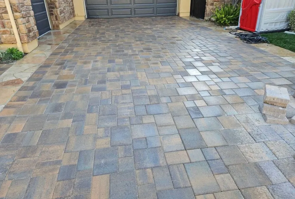 Top-rated yard maintenance in Richmond, CA - Souza And S