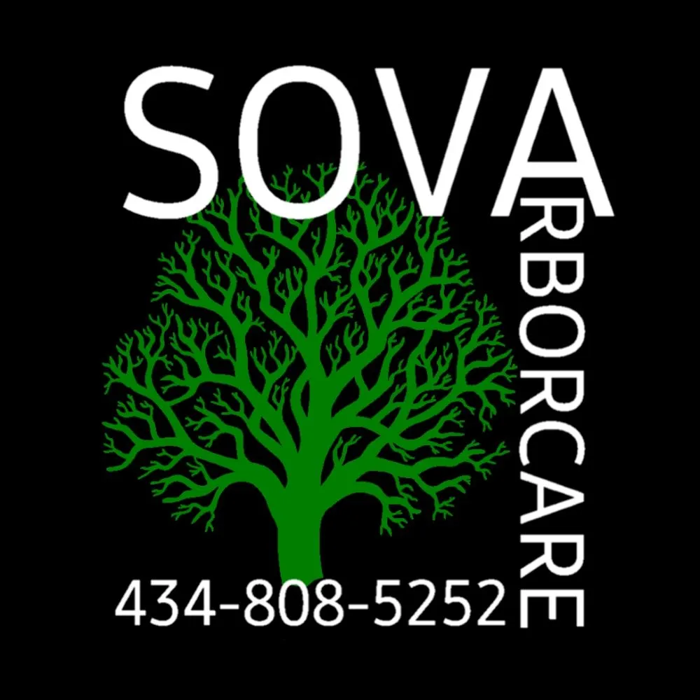 Reliable landscape design experts serving Kenbridge, VA - Sova Arborcare