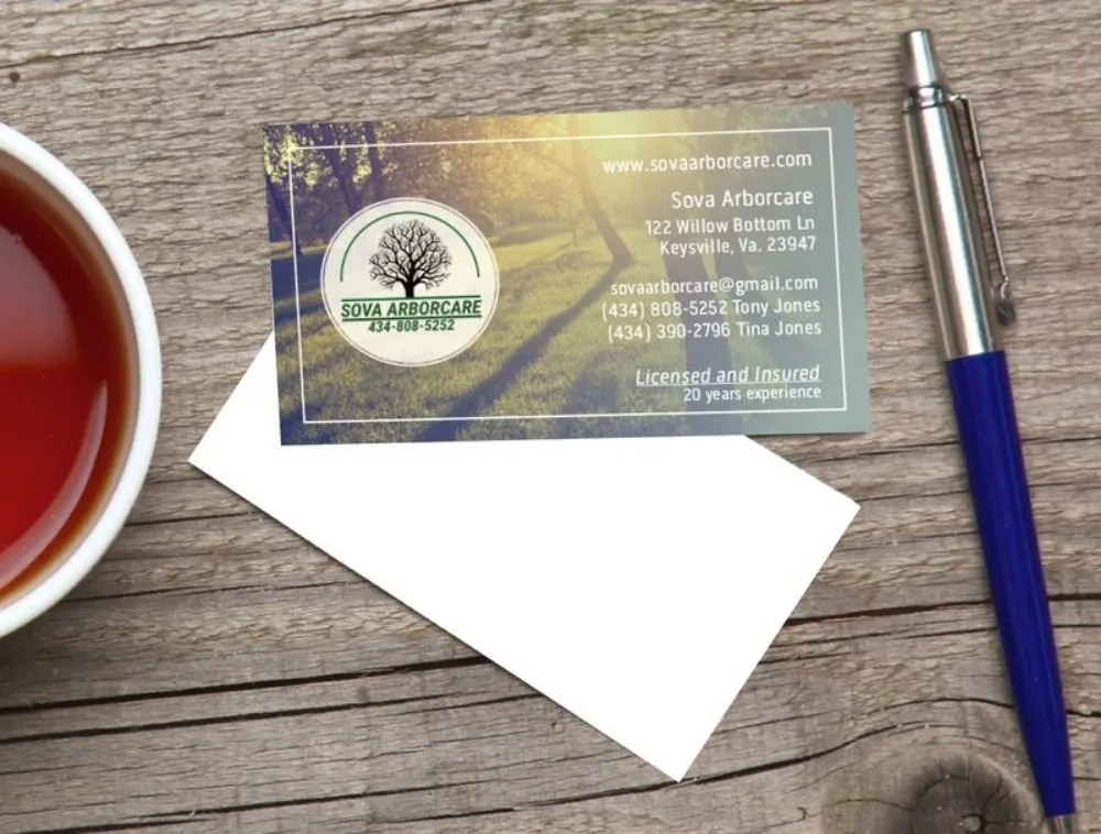 Reliable yard cleanup service for year-round maintenance in Kenbridge, VA by Sova Arborcare