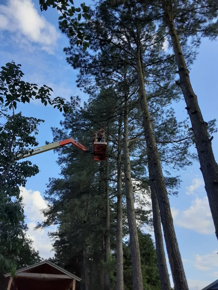 Top-rated outdoor landscaping for outdoor upgrades in Kenbridge, VA by Sova Arborcare