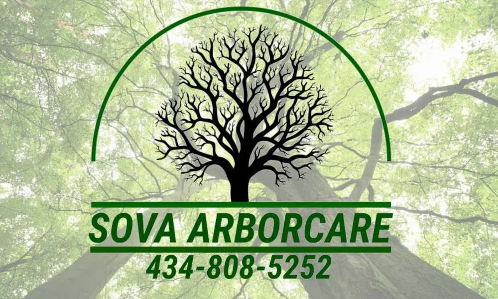 Affordable residential landscaping in Kenbridge, VA - Sova Arborcare
