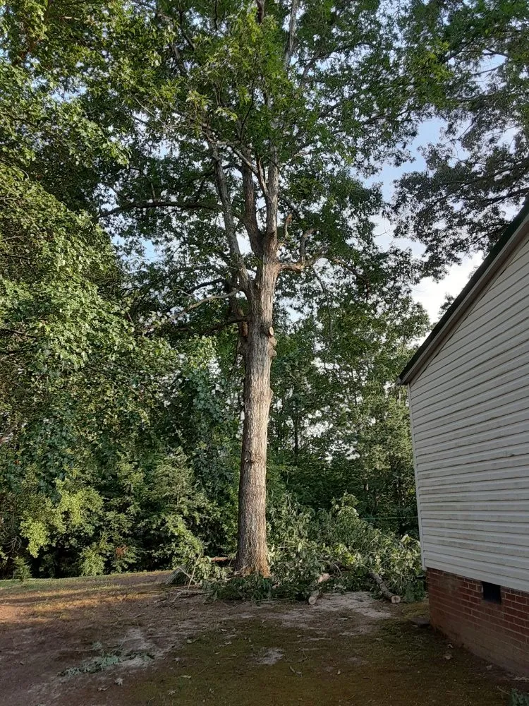 Reliable yard maintenance with custom design in Kenbridge, VA by Sova Arborcare