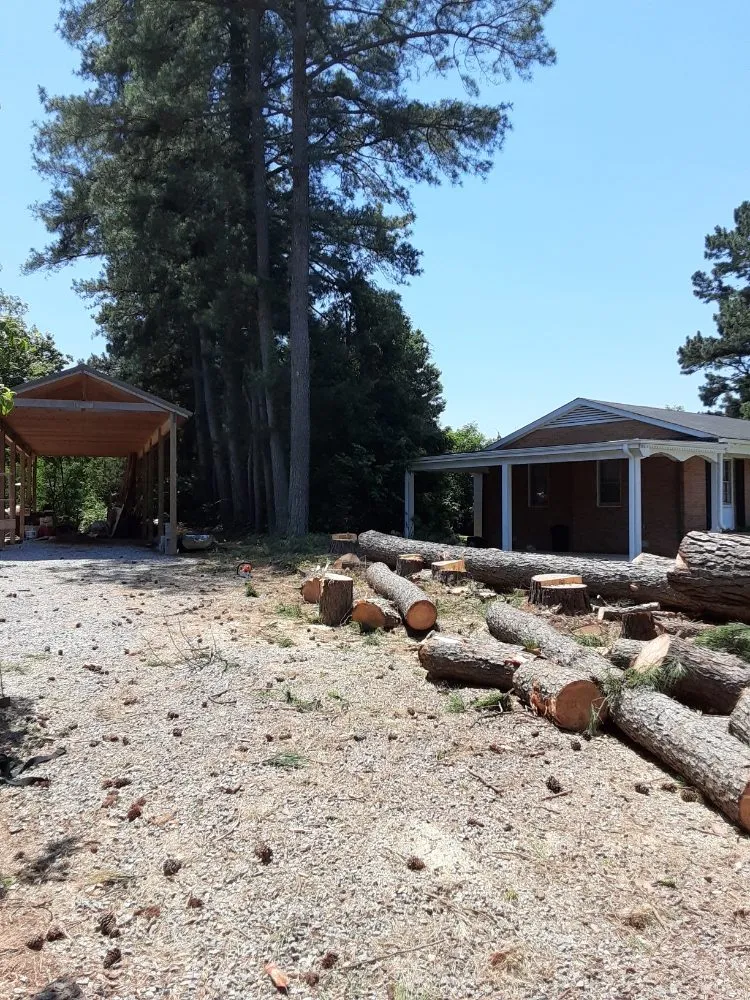 Expert lawn mowing service for year-round maintenance in Kenbridge, VA by Sova Arborcare